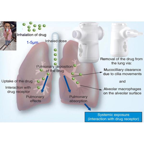 ингалятор машины Nebulizer 1.6μm до 3.3μm для кашля IP23 ≥0.28ml/Min астмы