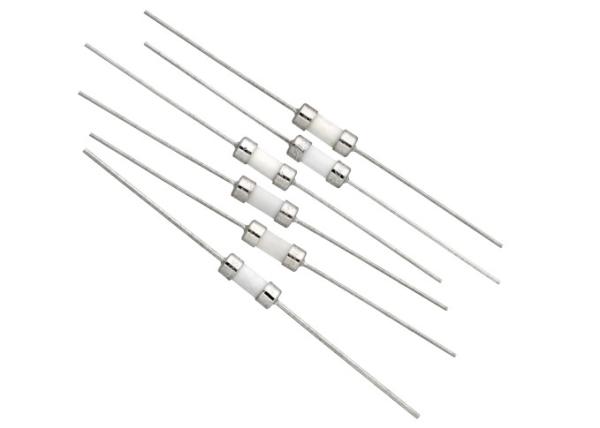 Nickel Plated Brass Cap 3x10mm Cylindrical Leaded Time Lag Ceramic Tube Fuse 1.6A 250VAC Board Mount With UL Approved