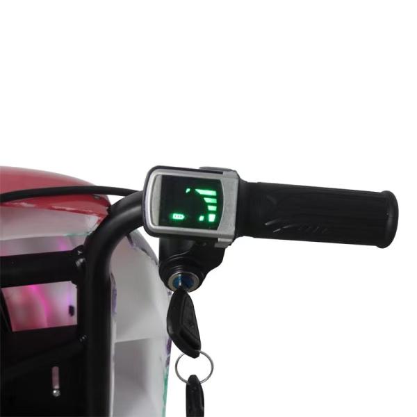 Cool Mini 36V 3 Wheel Electric Drifting Scooter with LED Lights and Aluminum Alloy Fork