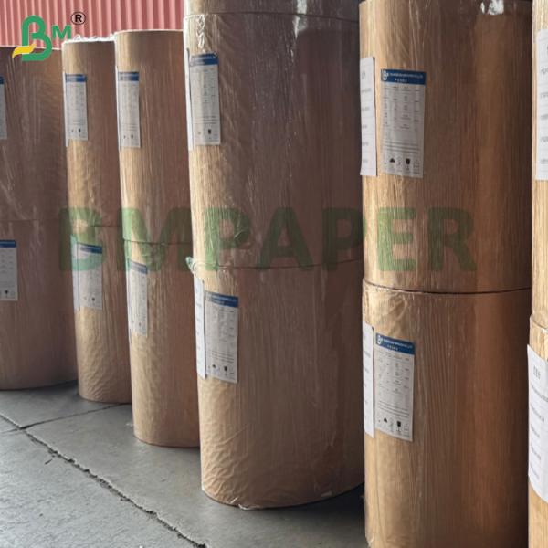 54gsm Bleached Micro - Creped Coffee Filter Base Paper for Automatic Drip Coffee Makers