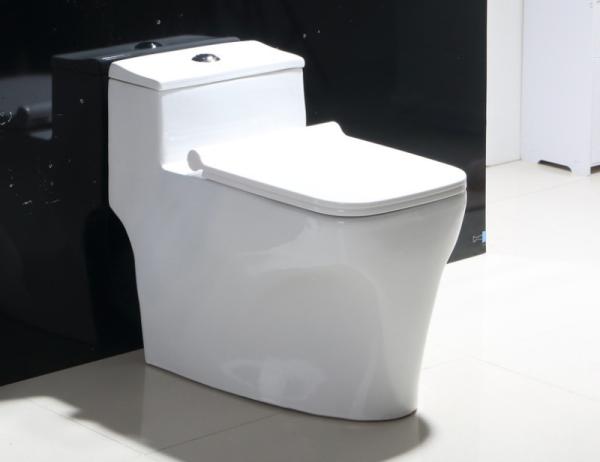 Back to Wall Rimless Toilet Dual Flush Ceramic White