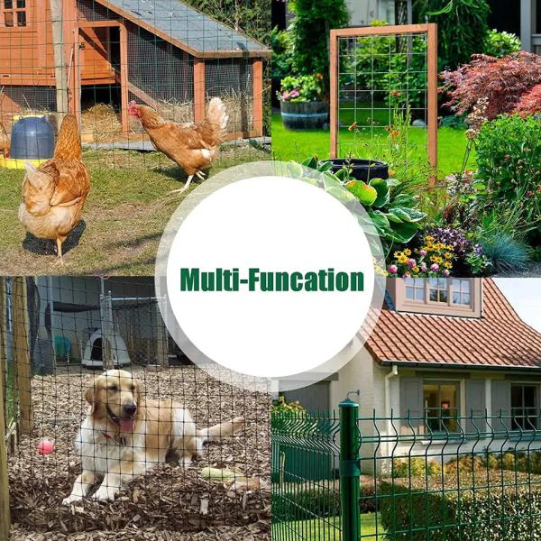 Electro Galvanized Welded Wire Mesh Fence Panel Green PVC Coated for Manufacture 1x1