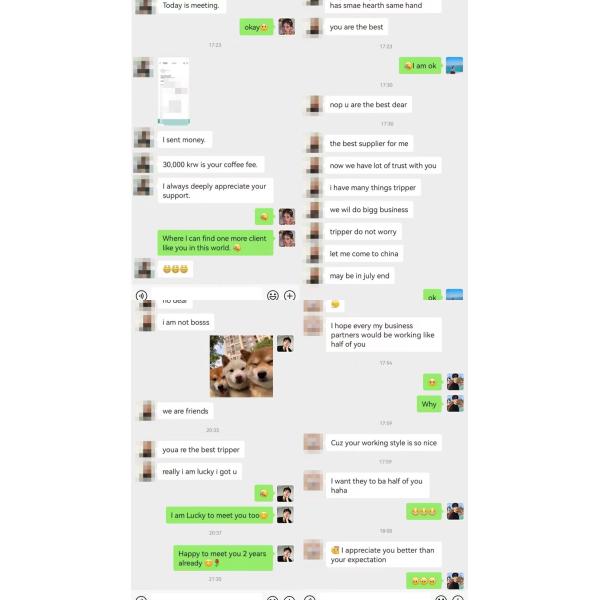 Домашнее постельное белье с сочетающимися шторами Египетские хлопчатобумажные простыни для гостиницы детская кровать