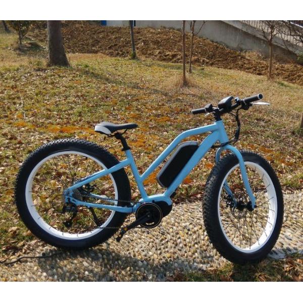 1:1 PAS Electric Fat Tire Mountain Bike Light Blue Color 48V 15A Controller