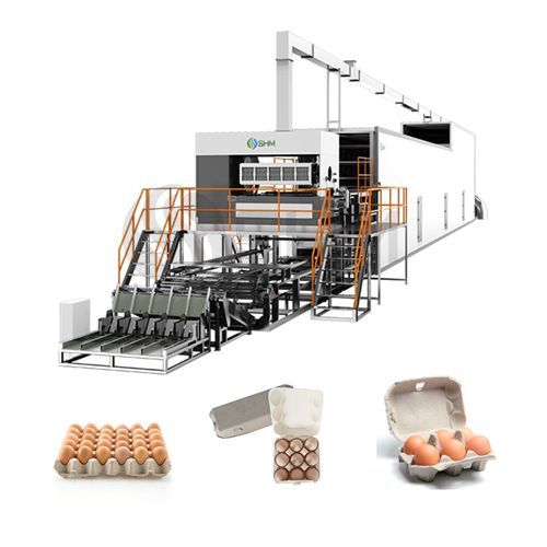 Customized Paper Pulp Tray Making Machine Molded Pulp Packaging Production Line