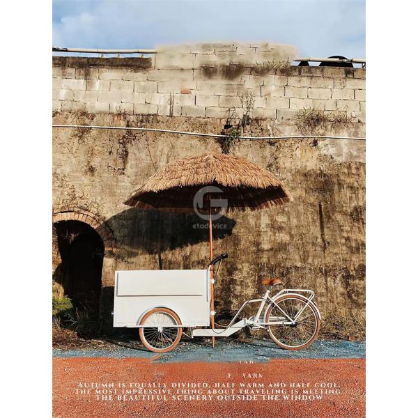 Fruit Raw Material Coffee Tricycle Ice Cream Food Cart with CE Mobile Pancake Food Truck