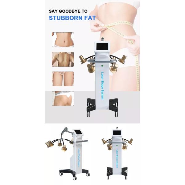 220v Portable Cryolipolysis Machine 6d Lipolaser Zerona Beauty