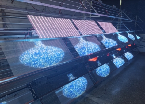 P4 Indoor Flexible LED Transparent Film Screen with PC Resin Material, IP67 Protection, and Customizable Sizes for Modern Displays