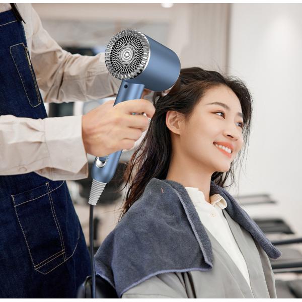 High Speed Purple Blue White Hair Dryer Air Styler Salon Hot Air Brush for Household