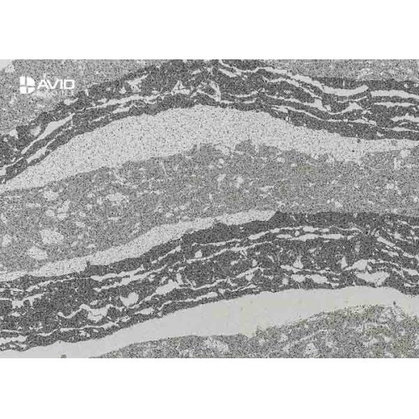 Chemical Resistant Quartz Bathroom Countertops Slab Low Maintenance 3200 X 1600mm