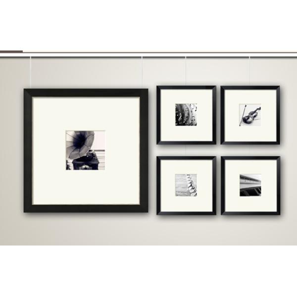 Новаторское искусство вися Сыстермс с кабелем нержавеющей стали конца кобры