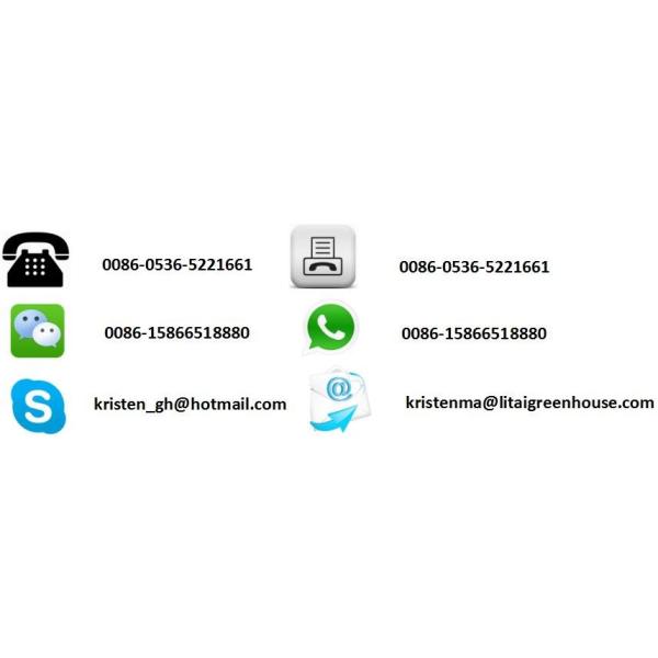 Большая прозрачная пластиковая пленка с многопролетным тепличным палатком для выращивания прозрачная и прочная