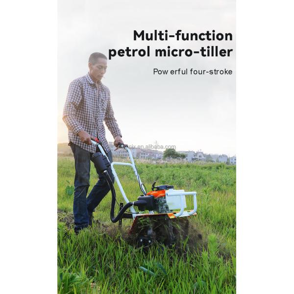 Farm Work Machinery Compact Home Mini Weeding Power Tiller Gasoline/Diesel Subsoiler