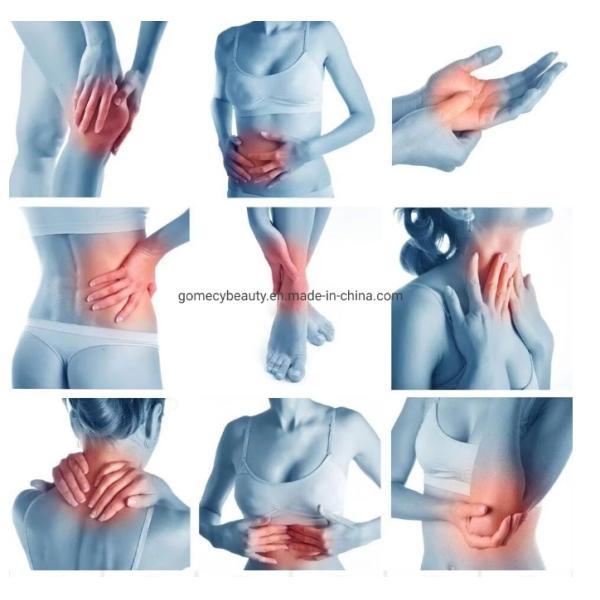 PMST Max Duo Magneto Therapy Machine for Professional Arthritis Treatment