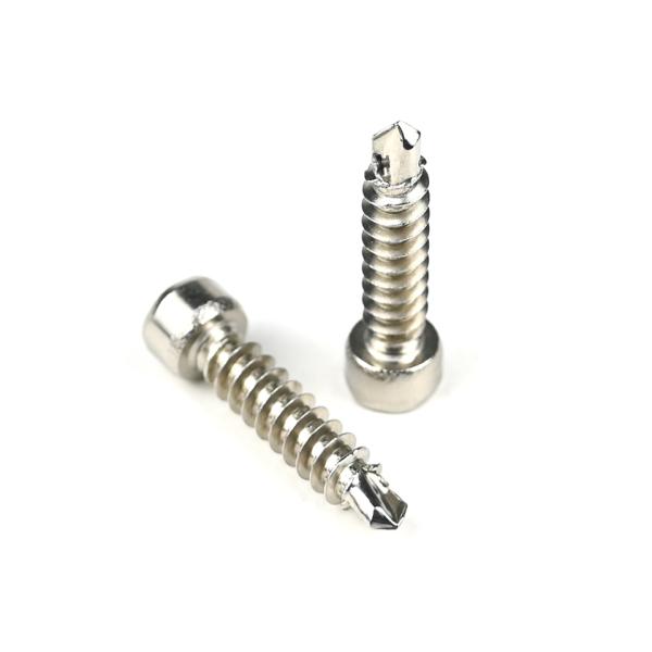 304 Stainless Steel Round Fillister Head Screw M6 Torx Screw with Customized Support