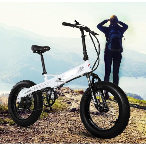 Lithium Battery 4.0 Fat Tire 500w Folding Electric Bike