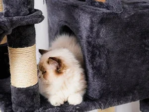 Luxury Indoor Cat Tree with Multi-Level Wood Tower 2 Widened Plush Perches & Halloween Cat Condo Scratching Board Modern Style