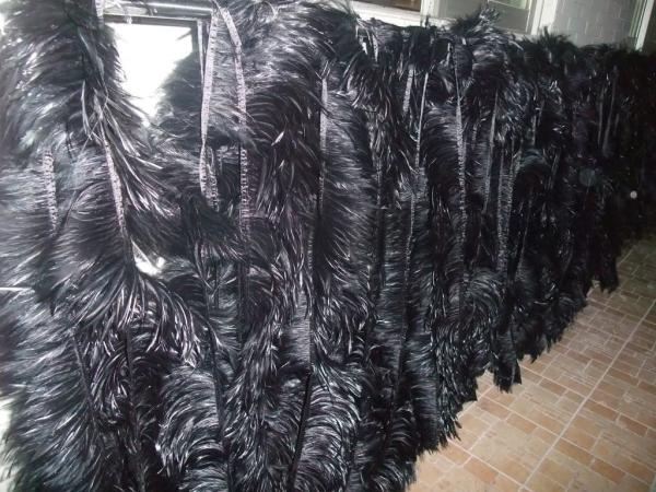 4-6 polegadas de festa Decoração Saddle Hackle Fringe de penas Triming com fita de fita de cetim