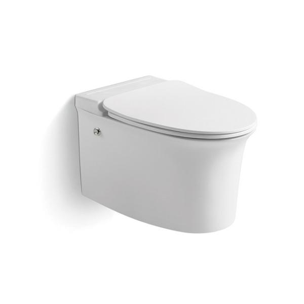 Ceramic Pulse Tankless Toilet Wall Mounted Space Save for Bathroom