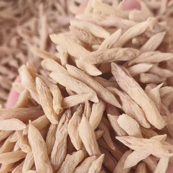 Chinese Herbal Ophiopogon Root HACCP Ophiopogon Chinese Medicine