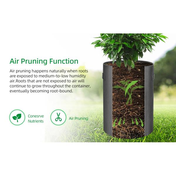 10 Gallon Potato Grow Bags, Planter Pouch Bags for Vegetables, Fruits and Flowers Flap Window, Garden Planting Bag