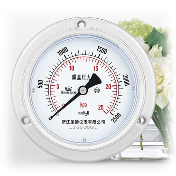 100mm Diaphragm Type 304ss Stainless Steel Back Capsule Pressure Gauge with Flange