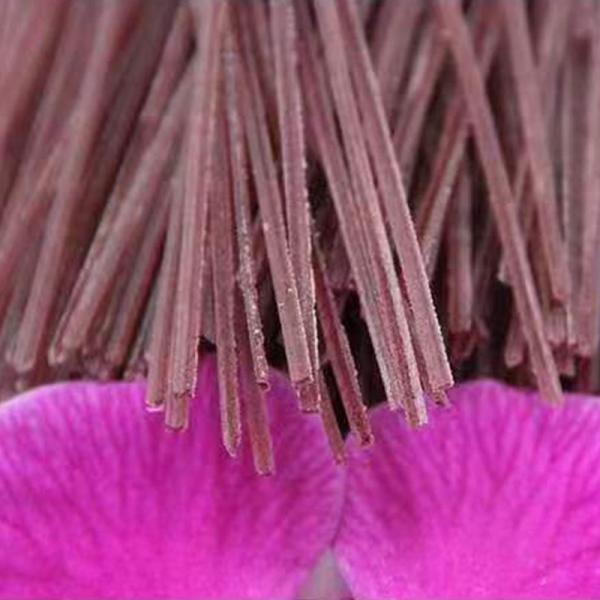 13 Kg Bulk Vermicelli Dried Sweet Potato Style from OEM for Supermarket and Restaurant