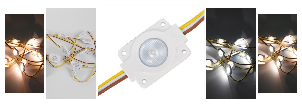 CCT dimmable led module 2700-6500k dual white DC12V 1.5W 170 degrees waterproof