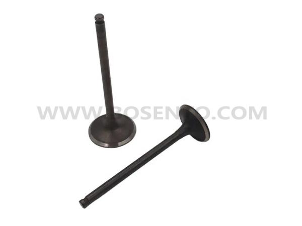 Motorcycle Engine Parts Intake & Exhaust Valve for Honda Titan 150