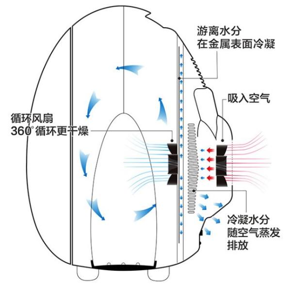 100V To 240V Mini Fridge For Skincare Products 42W 10L