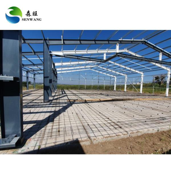 Wide Span Multi Storey Steel Structure Building Construction Per Drawing