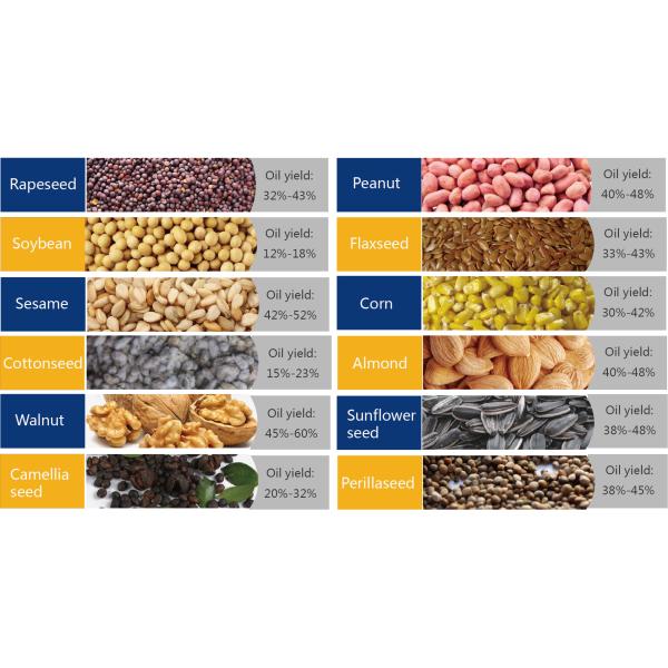 Aceite automático Presser de la máquina 6yl-70 del aceite de coco que cocina la máquina de la extracción de aceite