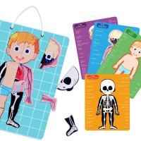 Partes del cuerpo humanas de la anatomía que aprenden los juegos magnéticos de los rompecabezas para los niños