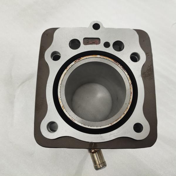 Water-Cooled Engine Block Aluminum Casting Cylinder Body for Tricycle 3 Wheels Motorcycle