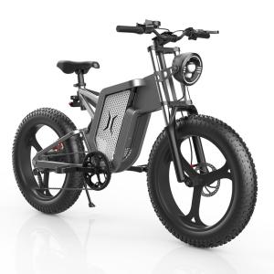 Creative Oil Disc Brakes 48 Volt 20ah Off Road Fat Tire Ebike Dual Battery Ebike