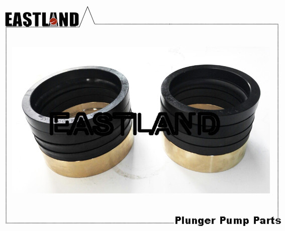 API Oil Well Frac & Cement Plunger Pump Hard-chrome Plated Plunger