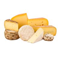 Equipamento da fatura de queijo do SUS 316L para a transformação de produtos alimentares automática