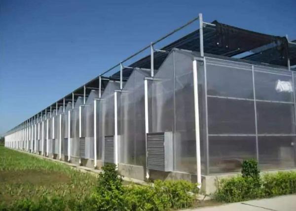 UV Protection PC Sheet Greenhouse , Polycarbonate Hydroponic Greenhouse For Medicine