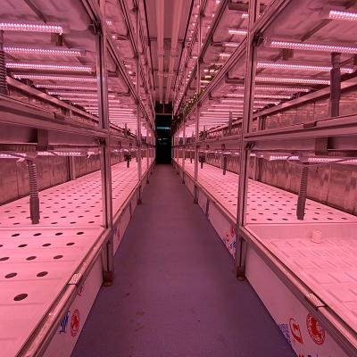 Temperature Climate Control 40 Foot Container Hydroponic Farm Greenhouse Agricultural Growing System