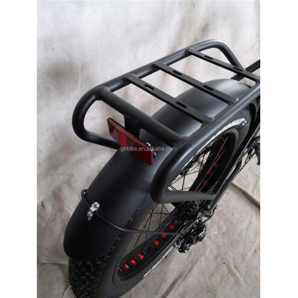 Adult Fat Tyre Cycle E Ebike Electric Bike 48V 1000W 21A Central Mid Drive Motor 26 Inch