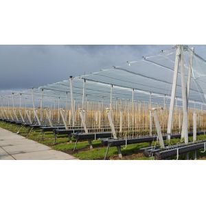 High Density Hail Net Made from Virgin HDPE Material Suitable for Garden and