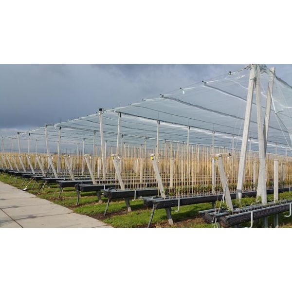 High Density Hail Net Made from Virgin HDPE Material Suitable for Garden and Apple Tree Anti Hail Protection