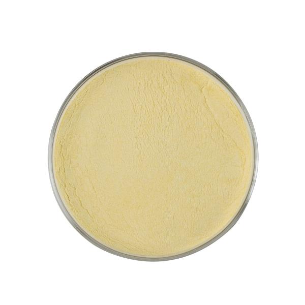 High Purity Glucose Oxidase 5000U/G Powder