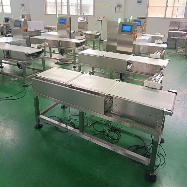 Automatic Dynamic Belt Conveyor Checkweigher Scales For Food Production Line