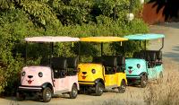 Scooter de golf électrique à quatre roues 4 passagers avec batterie au lithium