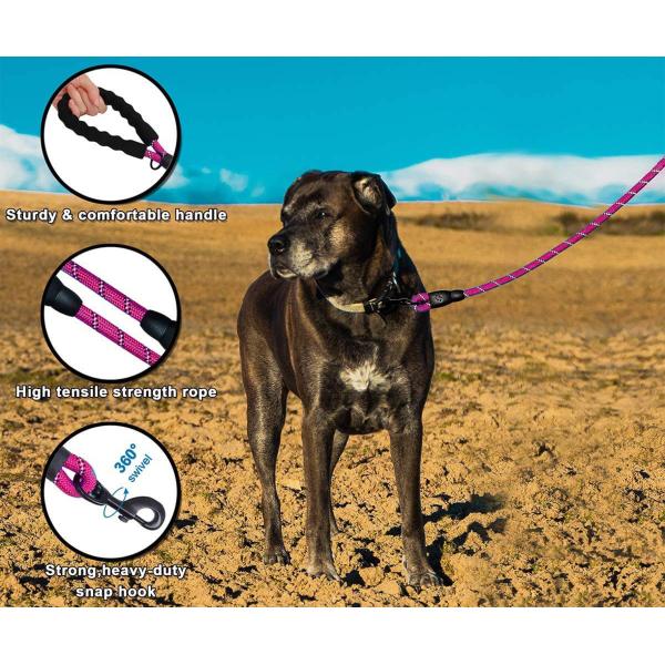 Reflective Nylon Dog Leash Acceptable OEM ODM Manufacture All-Season Market