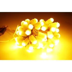 Новейший дизайн Внешний желтый Развлекательный Pixel LED 12V 9MM Декоративный LED Pixel Light