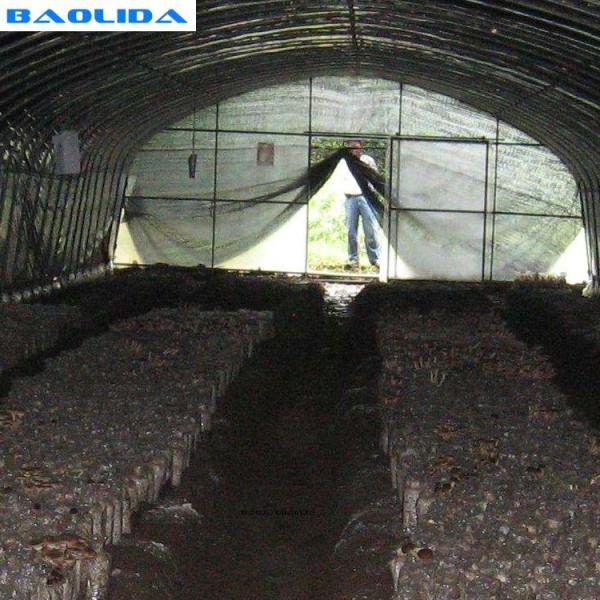 Vegetable Growing Plastic Tunnel Greenhouse Ultraviolet Proof