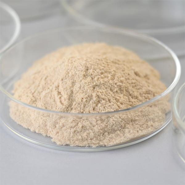 neutral cellulase,Powder Industrial Enzyme 5000-20000U/g,Washzyme