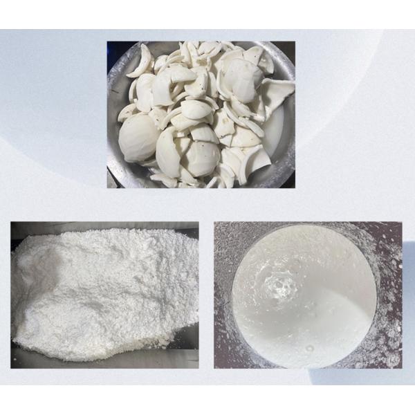 New Big Screw Extractor For Coconut Milk With Pressure Adjustable Higher Rate Output